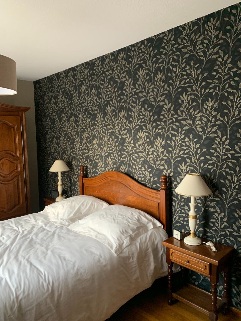 Réalisation murs Adour Décor